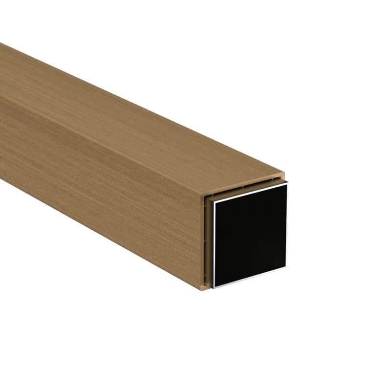 frangisole-TZ113113